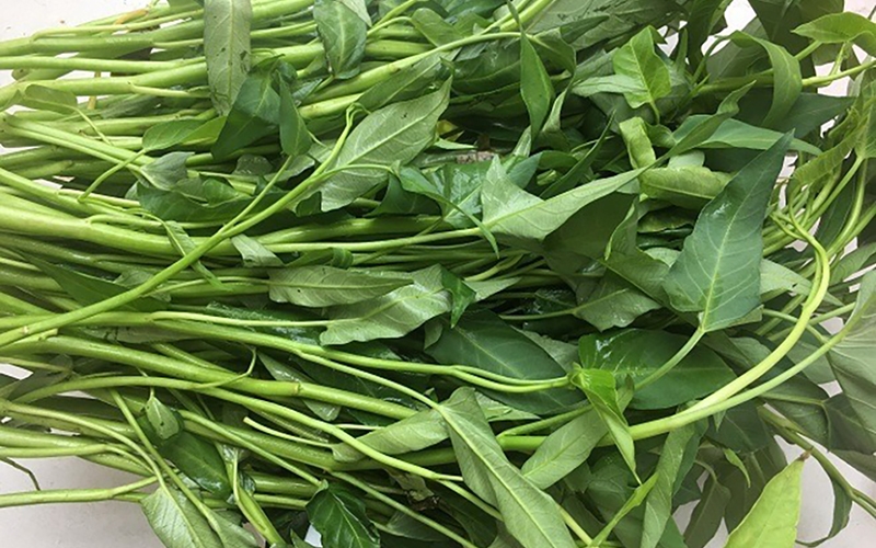 Tổng hợp những món ngon từ rau muống dễ làm (hình 1)