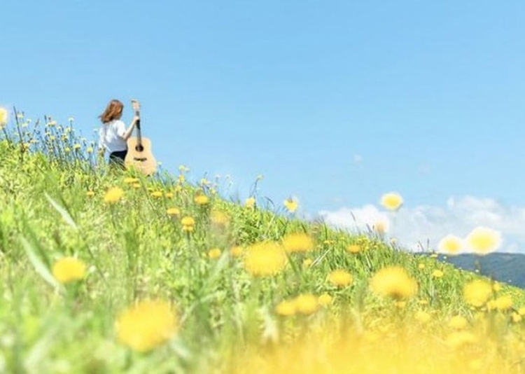 Mạnh mẽ như cô gái tháng 5. Luôn tỏa sáng như ánh nắng mùa hè dù không có ai bên cạnh