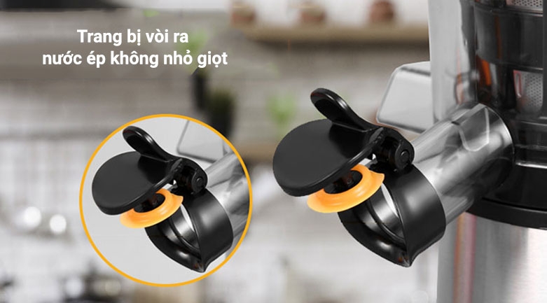 top máy ép chậm của Đức 2