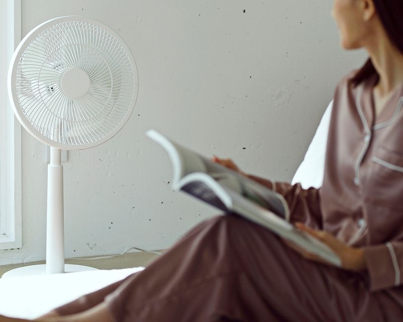 Top thương hiệu quạt cây tốt nhất 1