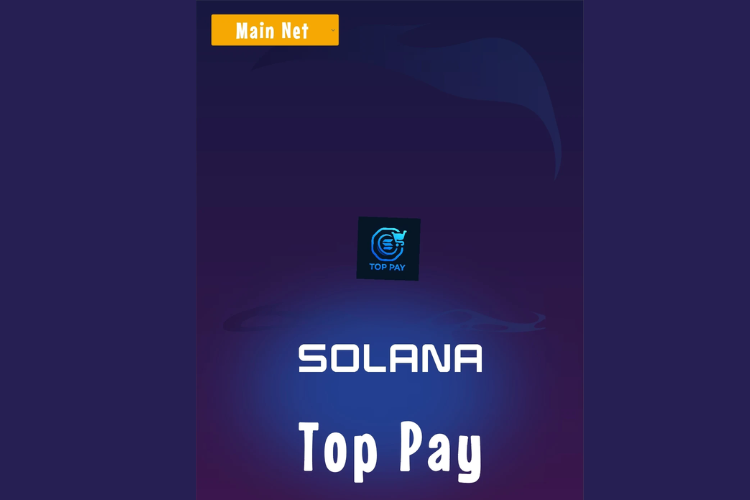 toppay 3
