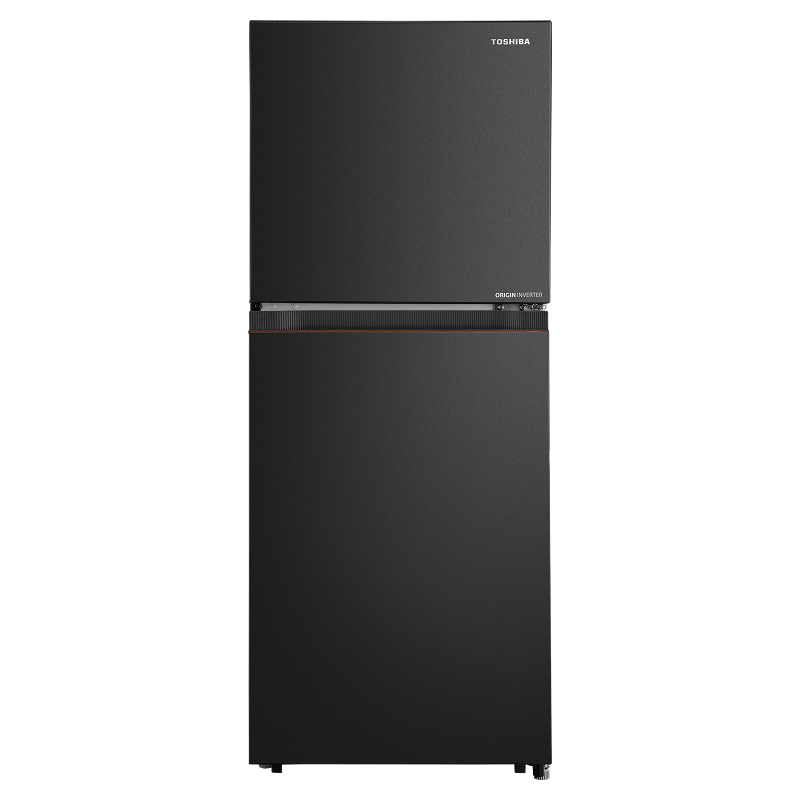 Tủ Lạnh Toshiba Inverter 207 Lít GR-RT268WE-PMV(68)