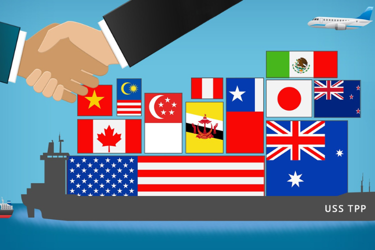 tpp-la-gi-1.png
