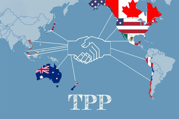 TPP là gì? (hình 1)