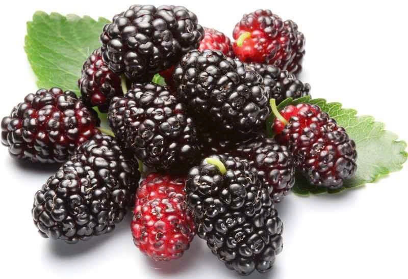 trái cây giàu canxi-3.jpg