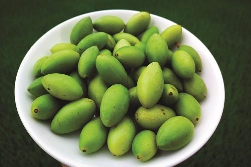 Cách bảo quản trám xanh trong tủ lạnh 3