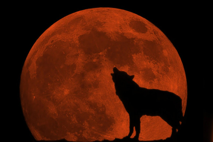 Trăng Máu là gì hình 6