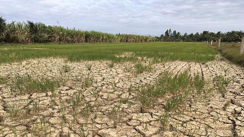 Trăng quầng, trăng tán là gì 6