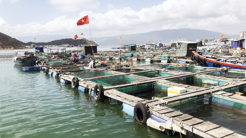 Triều cường là gì? (hình 5)