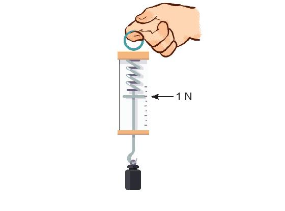 trọng lực là gì 3.png