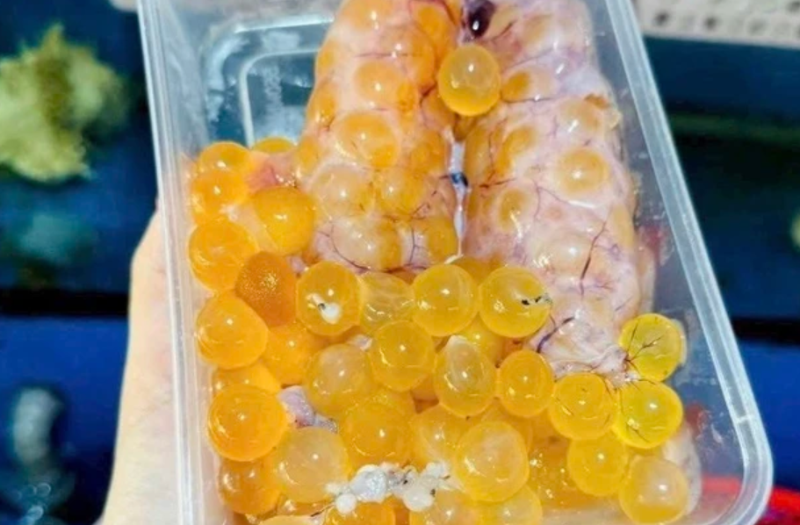 Trứng cá thiều - hình 2