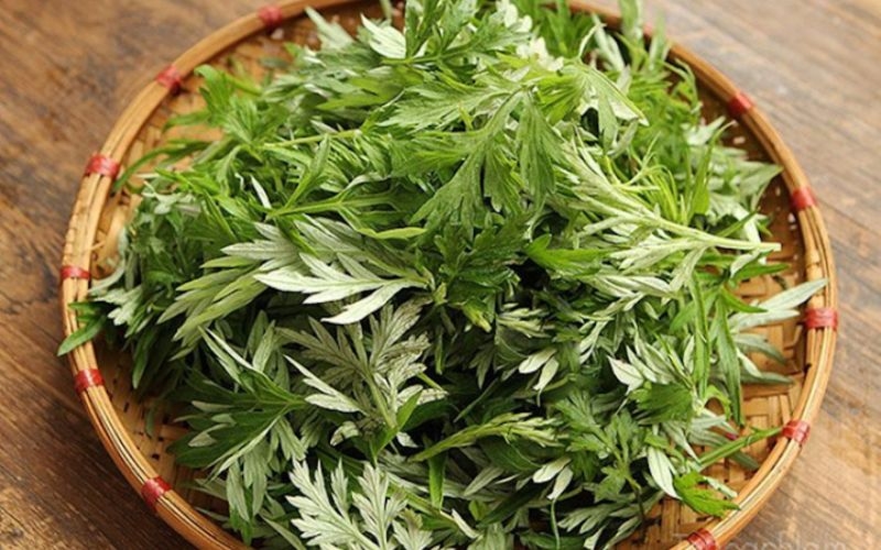 Cách chọn ngải cứu tươi ngon