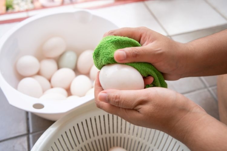 trung-de-lau-trong-tu-lanh-co-sao-khong (5).jpg