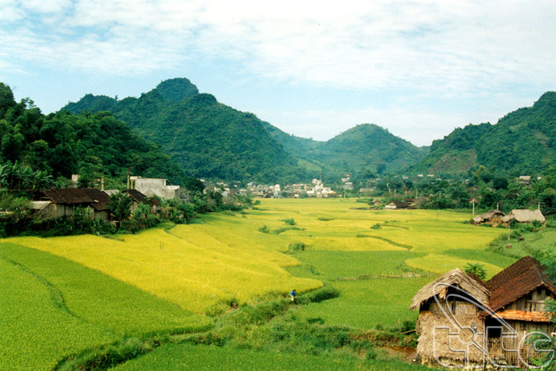Trung du là gì - hình 3