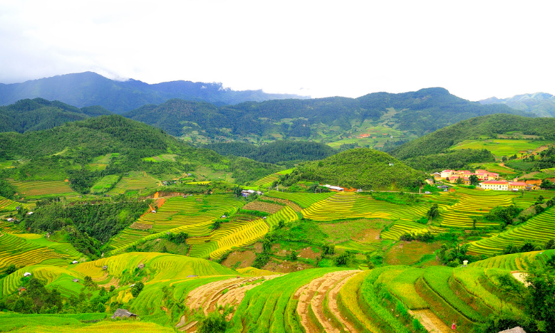 Trung du là gì - hình 5