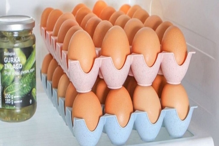 Trứng gà để tủ lạnh có ấp được không? Sự thật ít ai biết về khả năng nở của trứng bảo quản lạnh