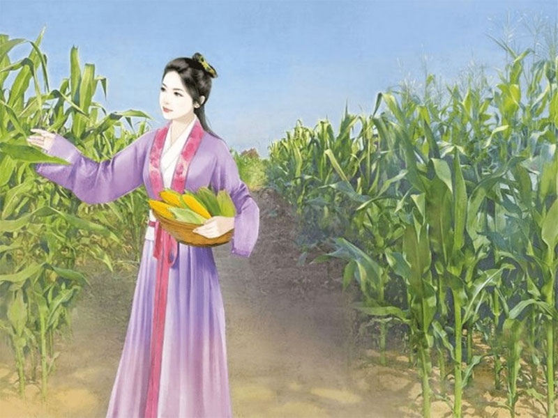 Truyện điền văn hình 3