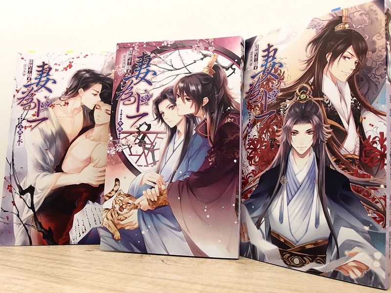 Truyện tranh đam mỹ cổ trang (hình 10)