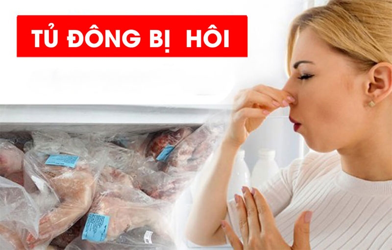 Tủ đông bị lỗi hình 5