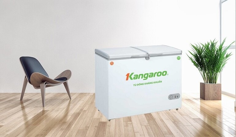 Tủ đông Kangaroo có tốt không 1