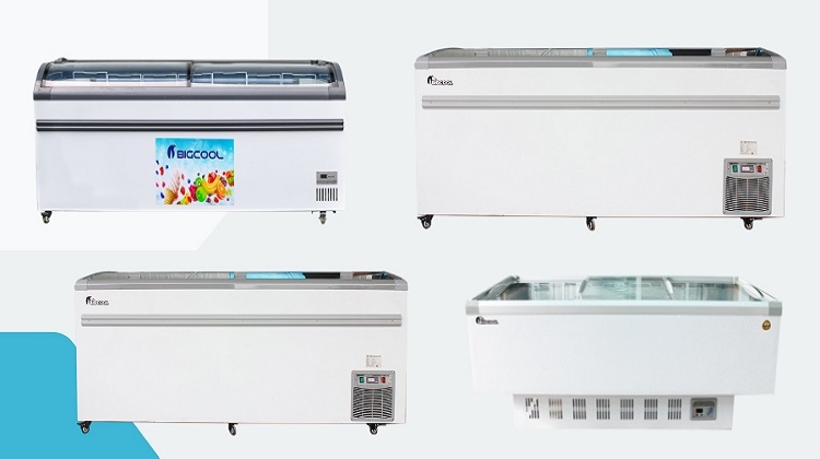 Tủ đông trưng bày hải sản (Hình 5)