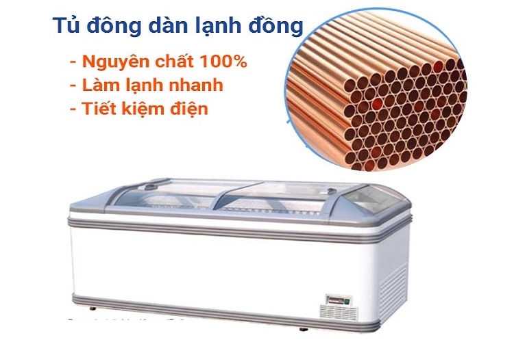 Tủ đông trưng bày hải sản (Hình 7)