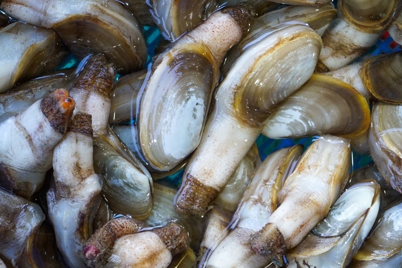 Tu hài ảnh 1