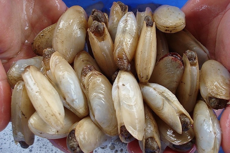 Tu hài ảnh 2