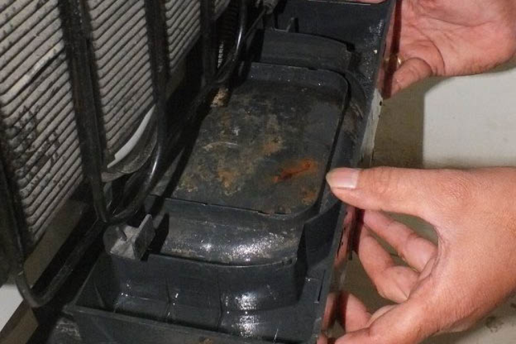 Tủ lạnh có mùi ẩm mốc hình 6