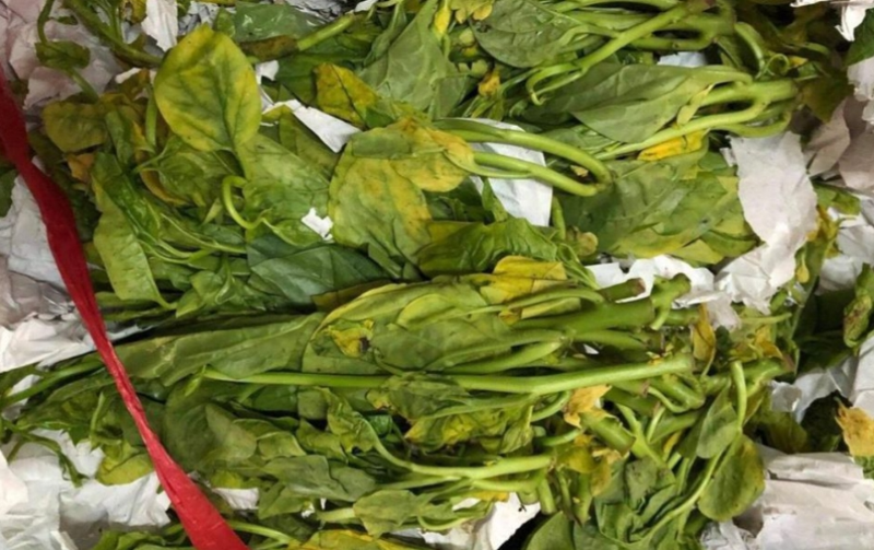 Tủ lạnh không lạnh ngăn dưới (hình 1)