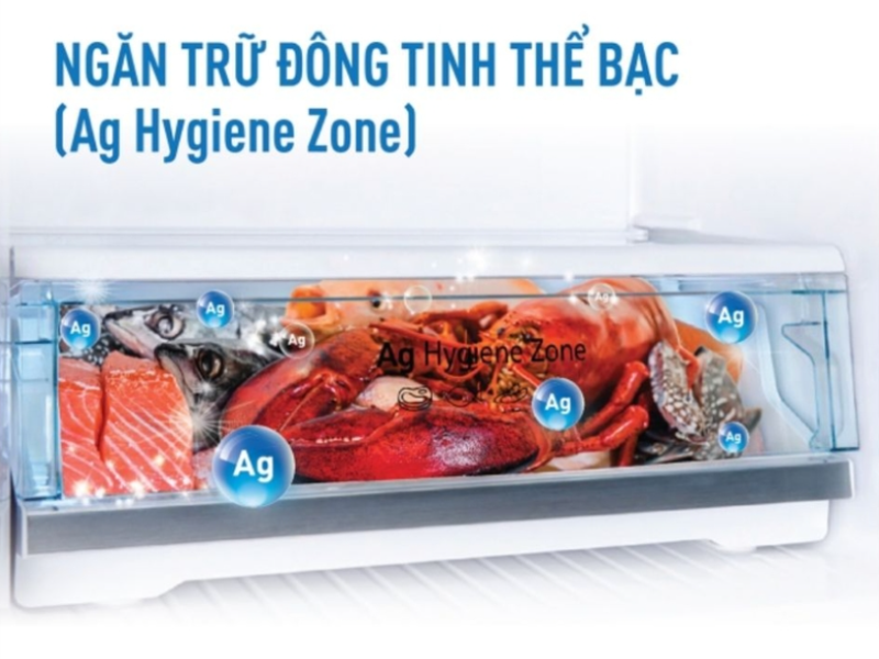 Tủ lạnh Panasonic NR-TL351VGMV - hình 3