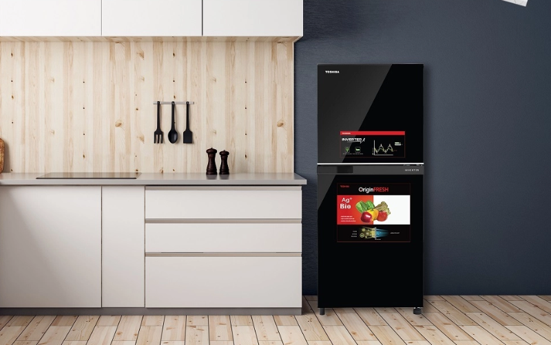 Tủ lạnh Toshiba GR B22VU UKG - hình 2