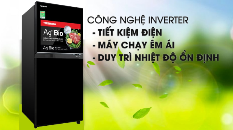 Tủ lạnh Toshiba GR B22VU UKG - hình 3
