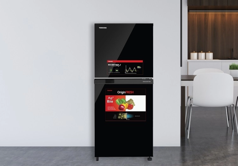 Tủ lạnh Toshiba GR B22VU UKG - hình 8