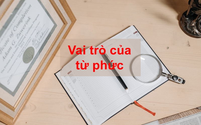 Từ phức là gì? (hình 7)