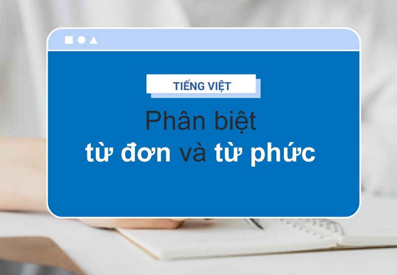 Từ phức là gì? (hình 8)
