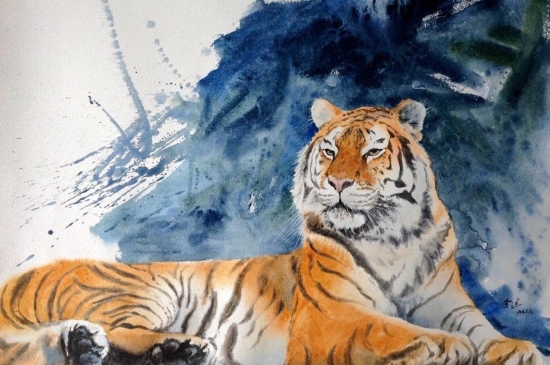 Tuổi Dần hợp màu gì? Chọn màu sắc hợp với tuổi Dần để thu hút vận may, tài lộc và sức khỏe