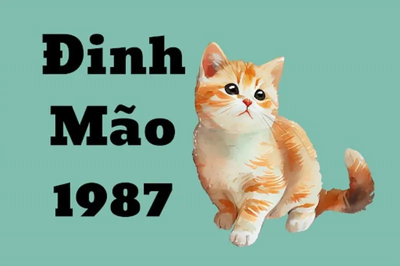 tuổi mão hợp màu gì hình 7