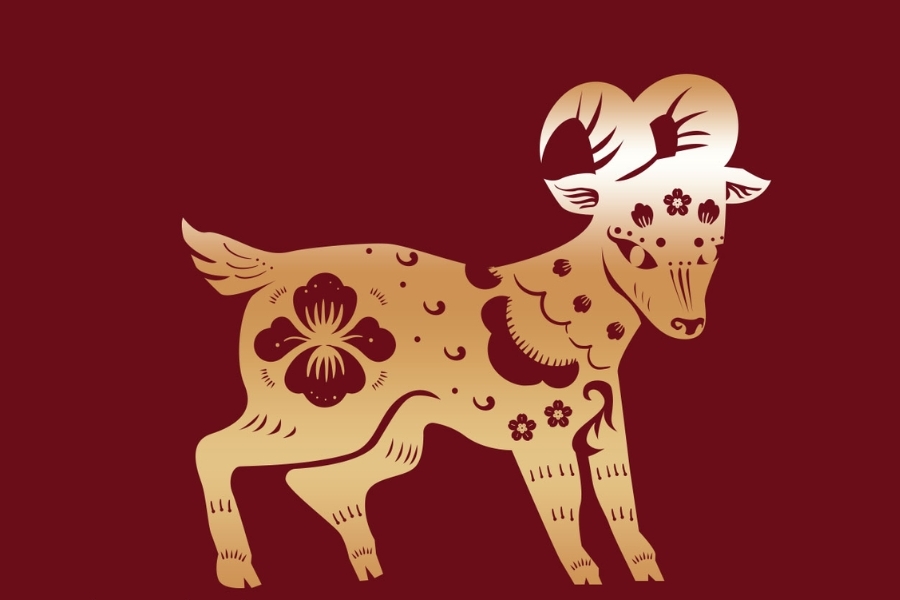 Tuổi Mùi hợp màu gì? Kỵ màu gì? Khám phá màu sắc hợp tuổi Mùi giúp thu hút may mắn và tài lộc 2025