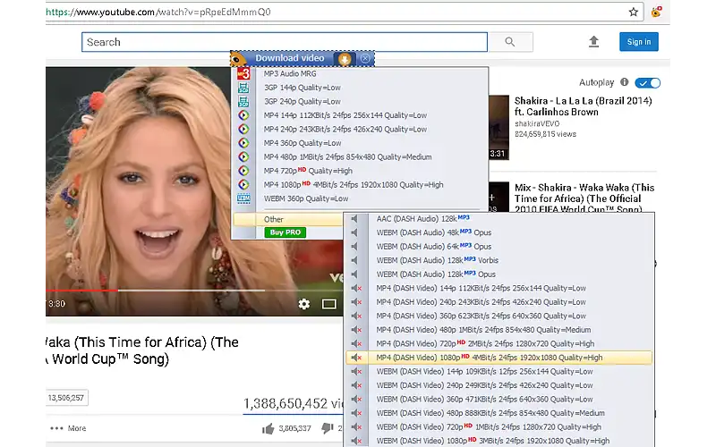 ant download manager