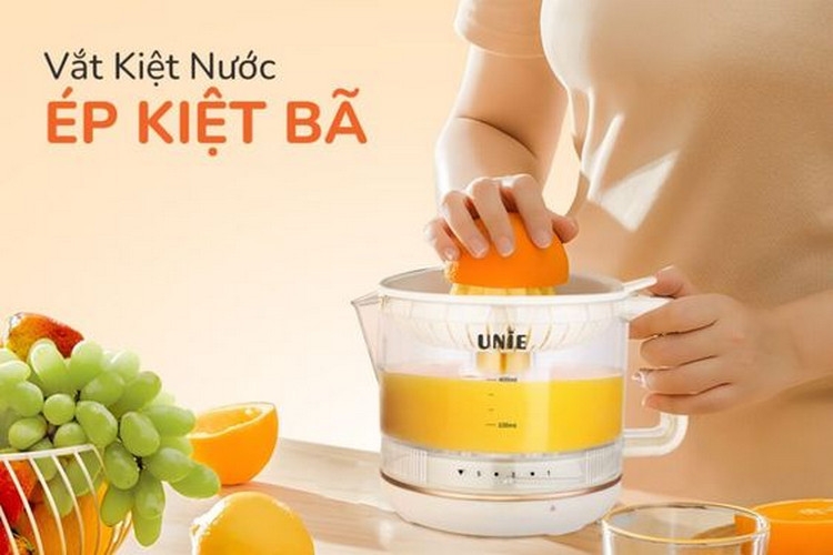 Nên mua máy vắt cam loại nào - ảnh 6