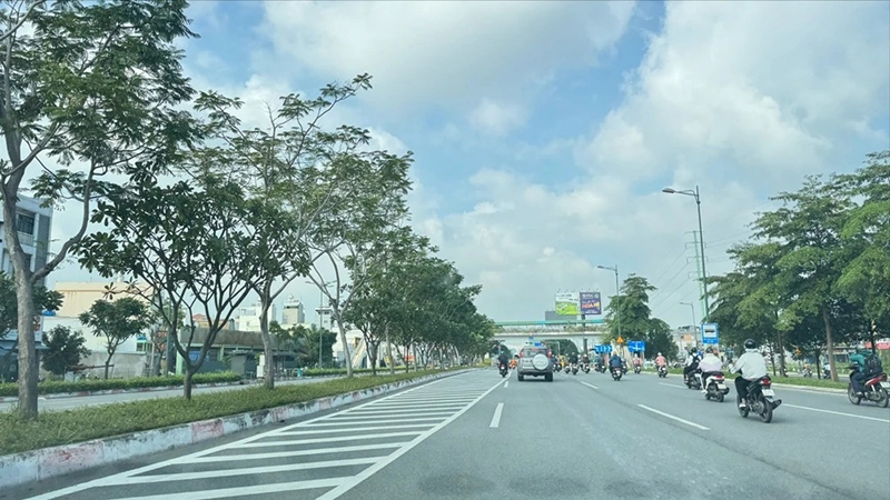 Vạch xương cá là gì? (hình 1)