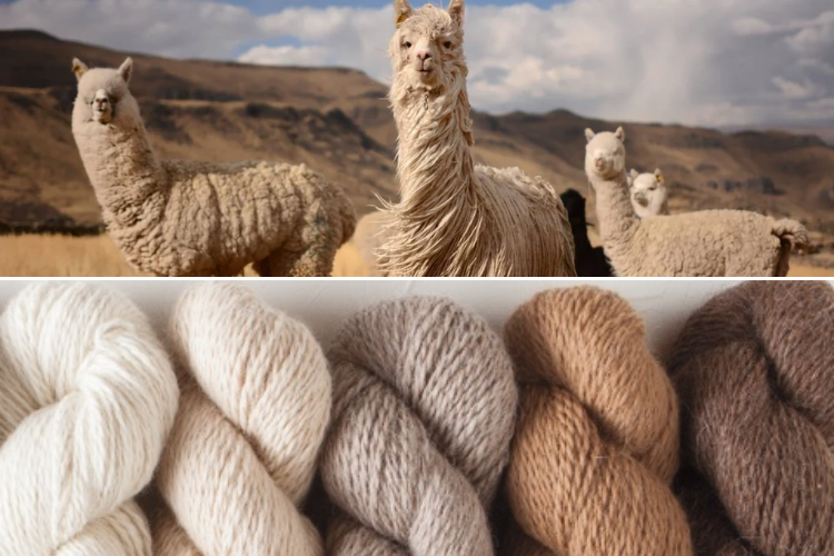 vải wool 3