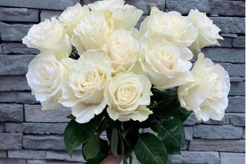 Valentine trắng ai tặng quà cho ai ảnh 4