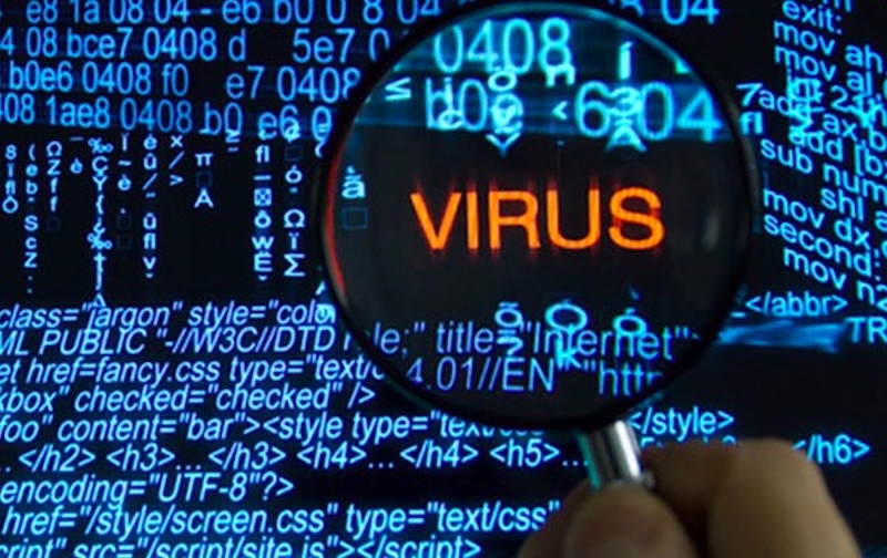 vật mang tin là gì 2.jpg