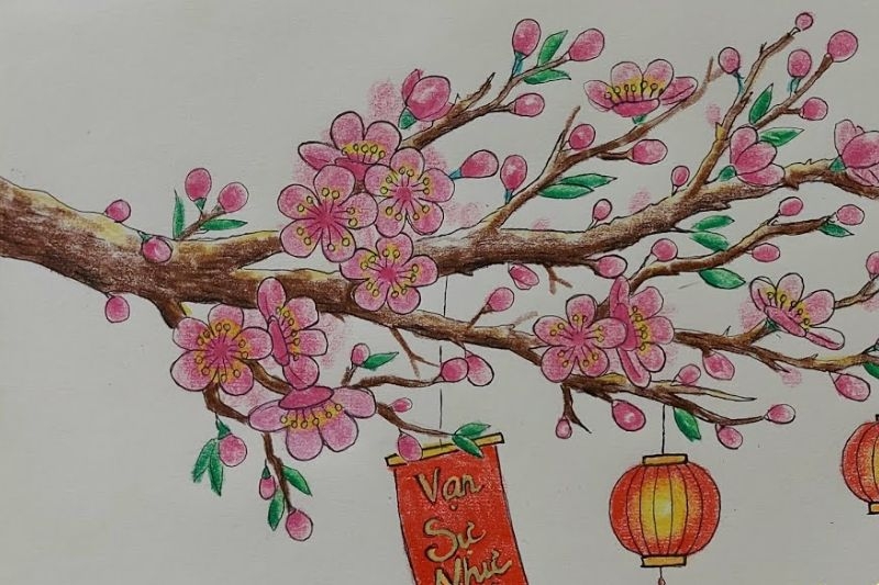 Vẽ hoa anh đào ảnh 10