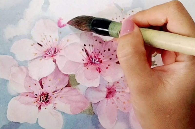 Vẽ hoa anh đào ảnh 18