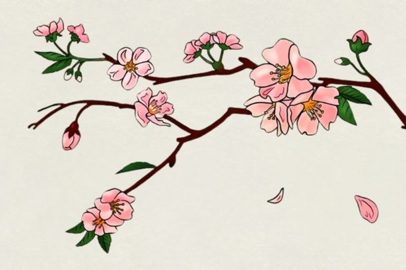 Vẽ hoa anh đào ảnh 21
