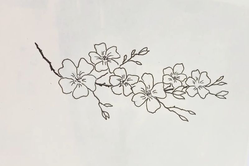 Vẽ hoa anh đào ảnh 7