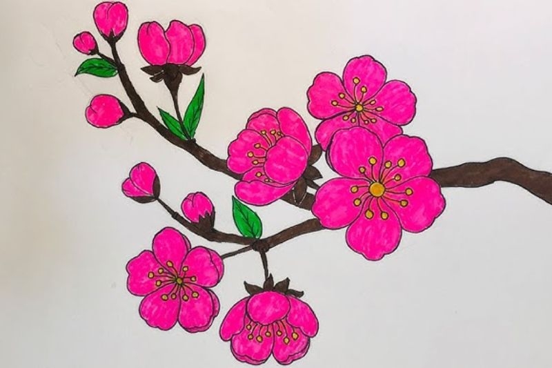Vẽ hoa anh đào ảnh 9
